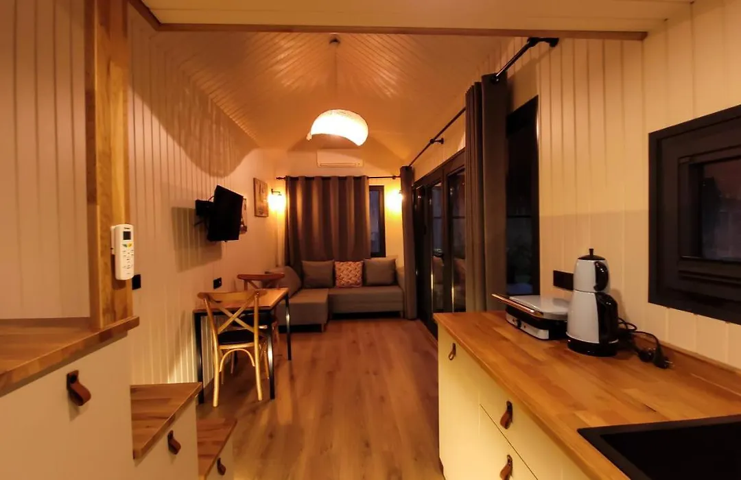 Ten Tiny House-1