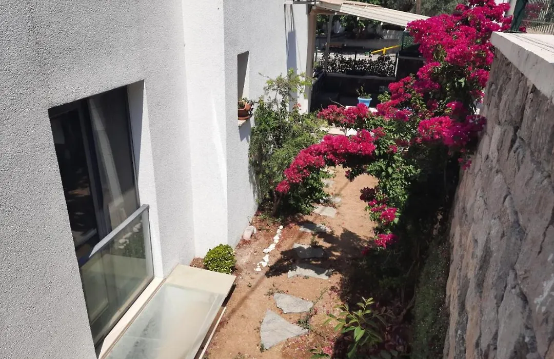 Turkbuku Luxury Pleasant Apartment-1