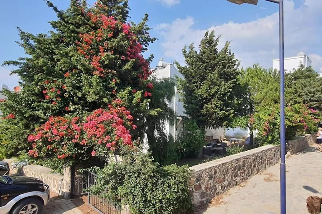 Bodrum Gundogan Full Sea View With Garden Triplex Villa-1