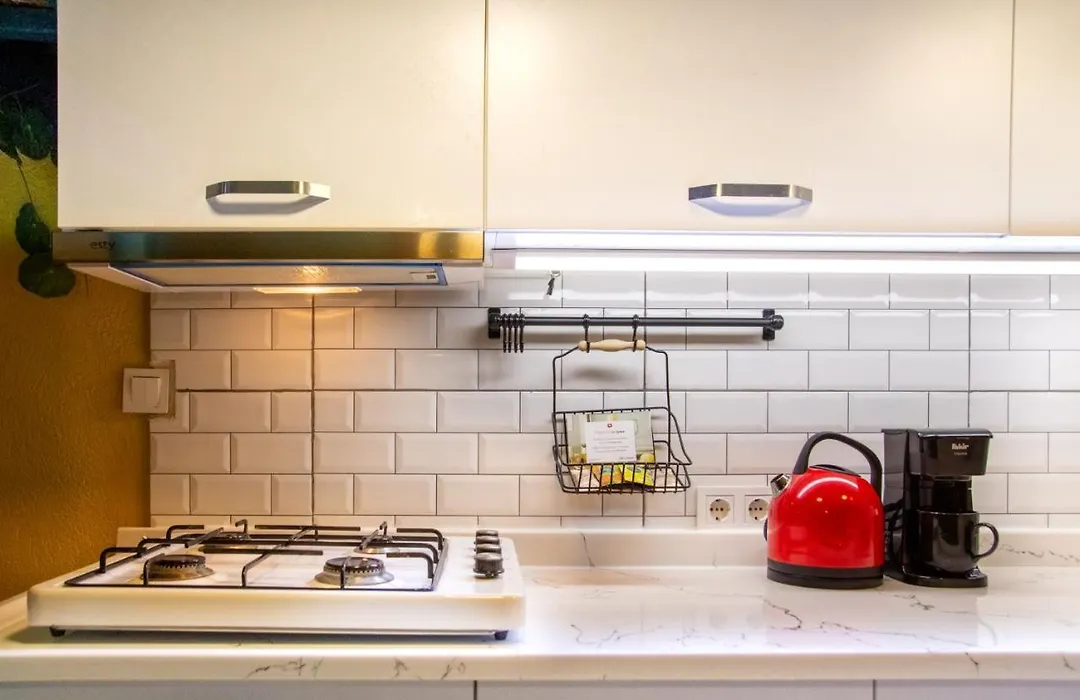 Central And Colorful Studio Flat In Alsancak-1