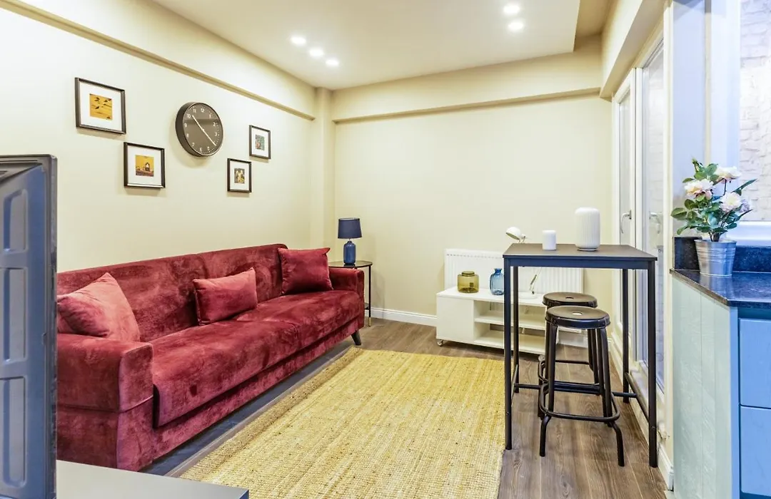 Cozy And Compact Flat In Central Sisli-1