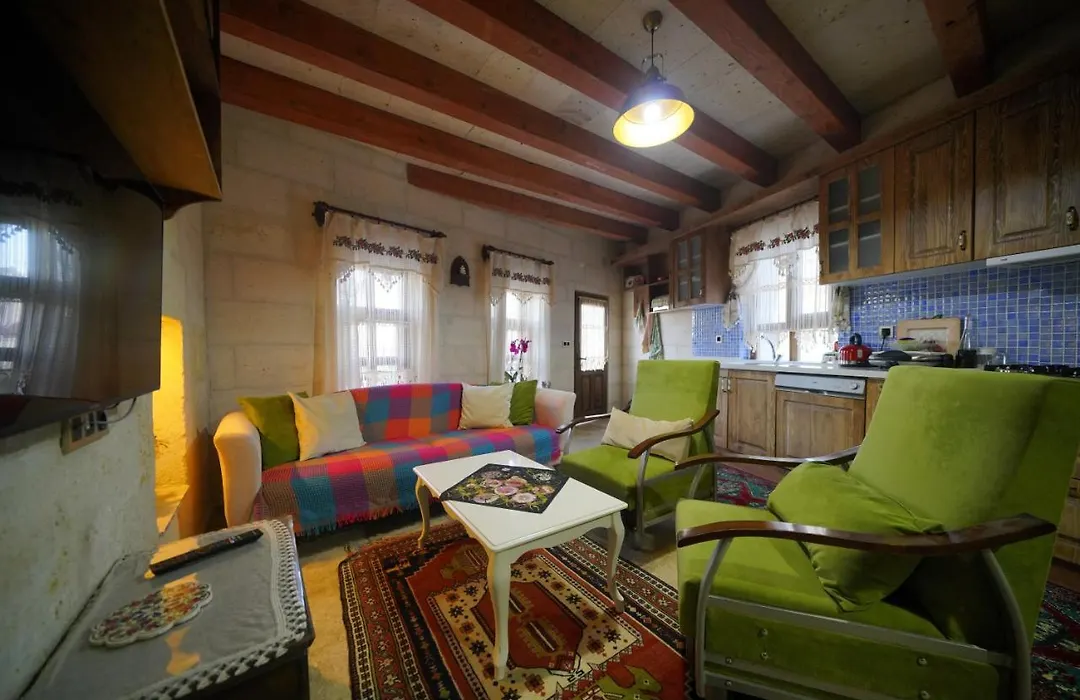 Asya'S Stone House Villa-1