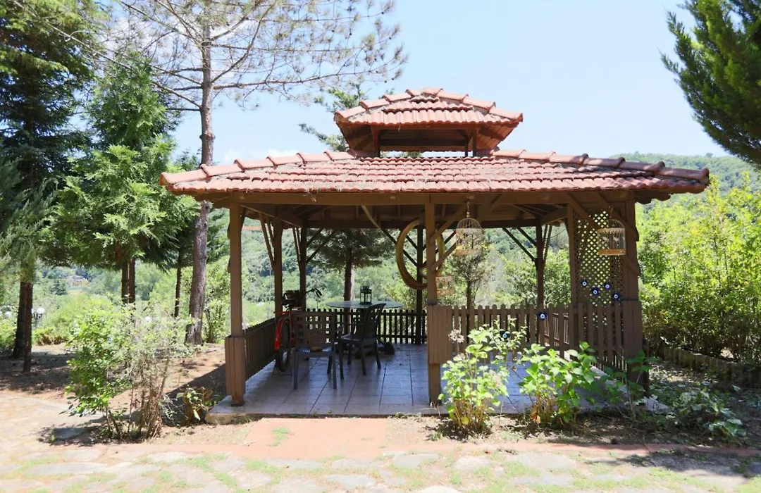 Serene House Surrounded By Nature In Beykoz-1