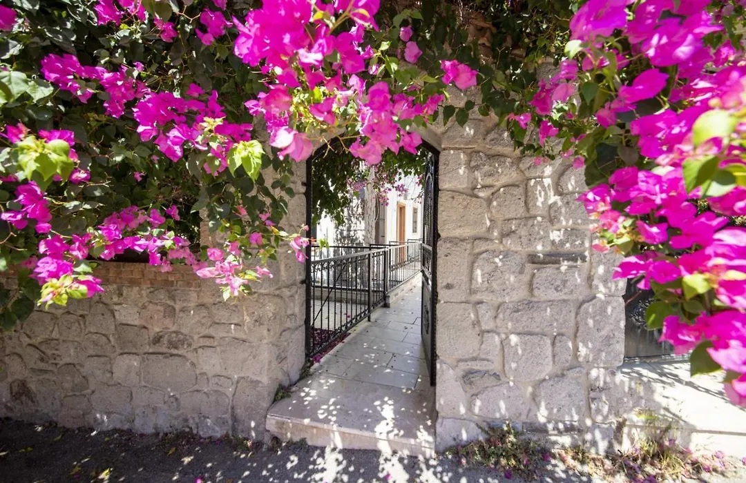 Enchanting House With Backyard In Bodrum-1