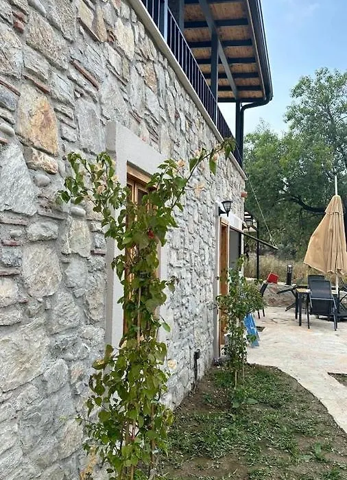 7011 Dadya Rooms-1