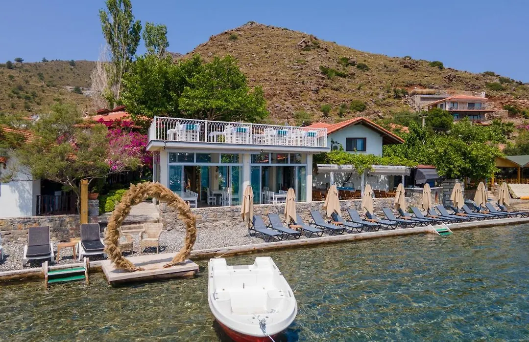 Buesra Selimiye-1
