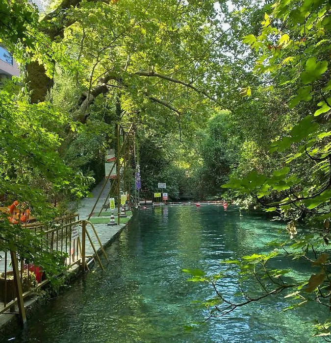 Yuvarlakcay Çınar Butik Otel-1