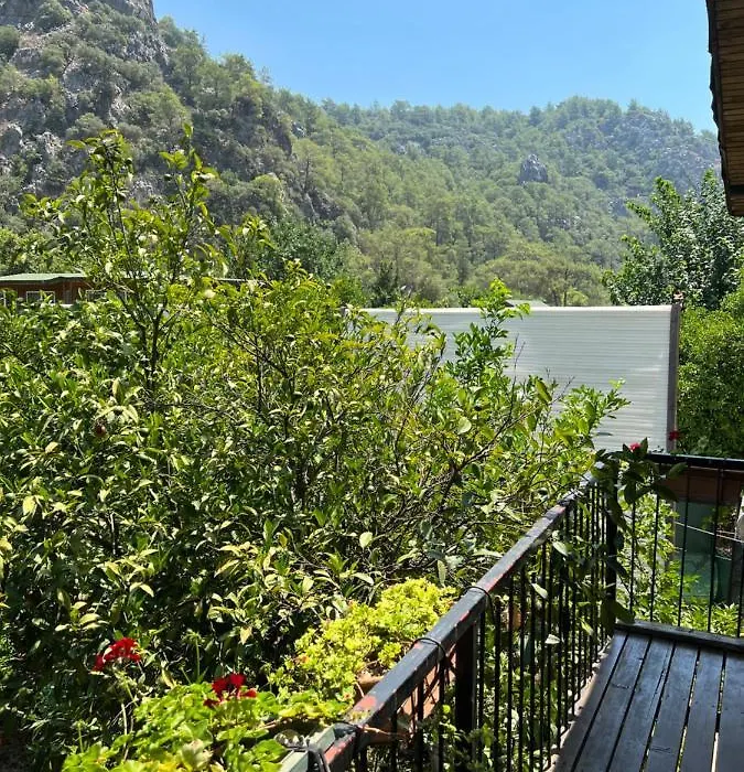 Oran Ağaç Bungalovs-1
