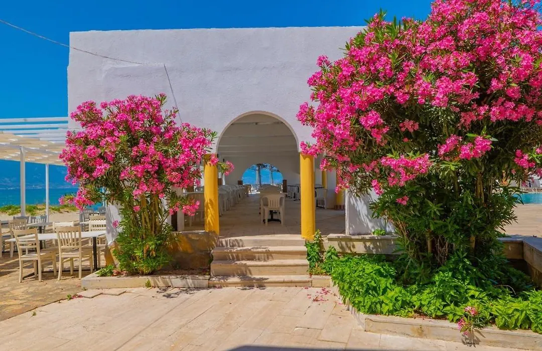 Dream Holıday Resort-1