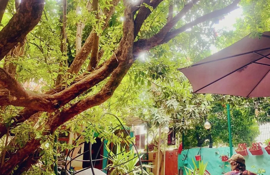 Hostel Vague-1