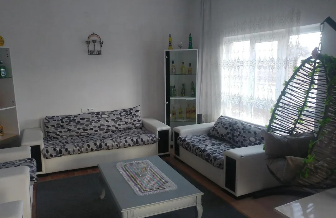 Enesin Evi-1