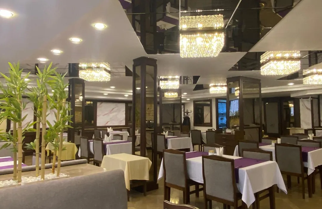 Alfin Otel-1