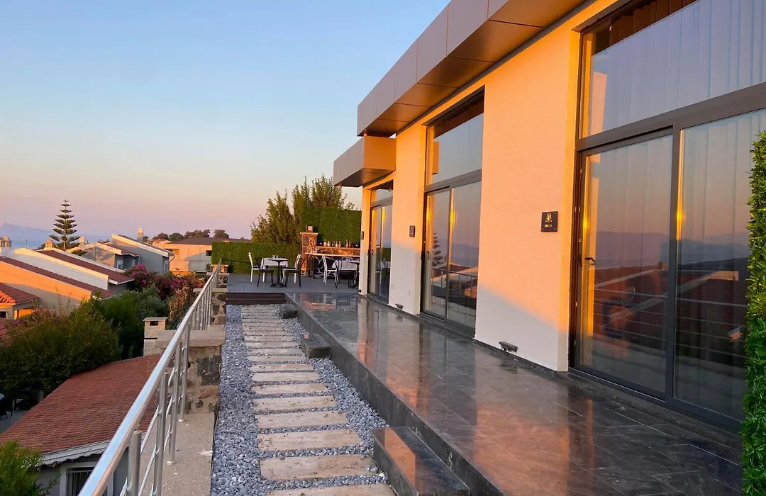 Costa Linn Premium-1
