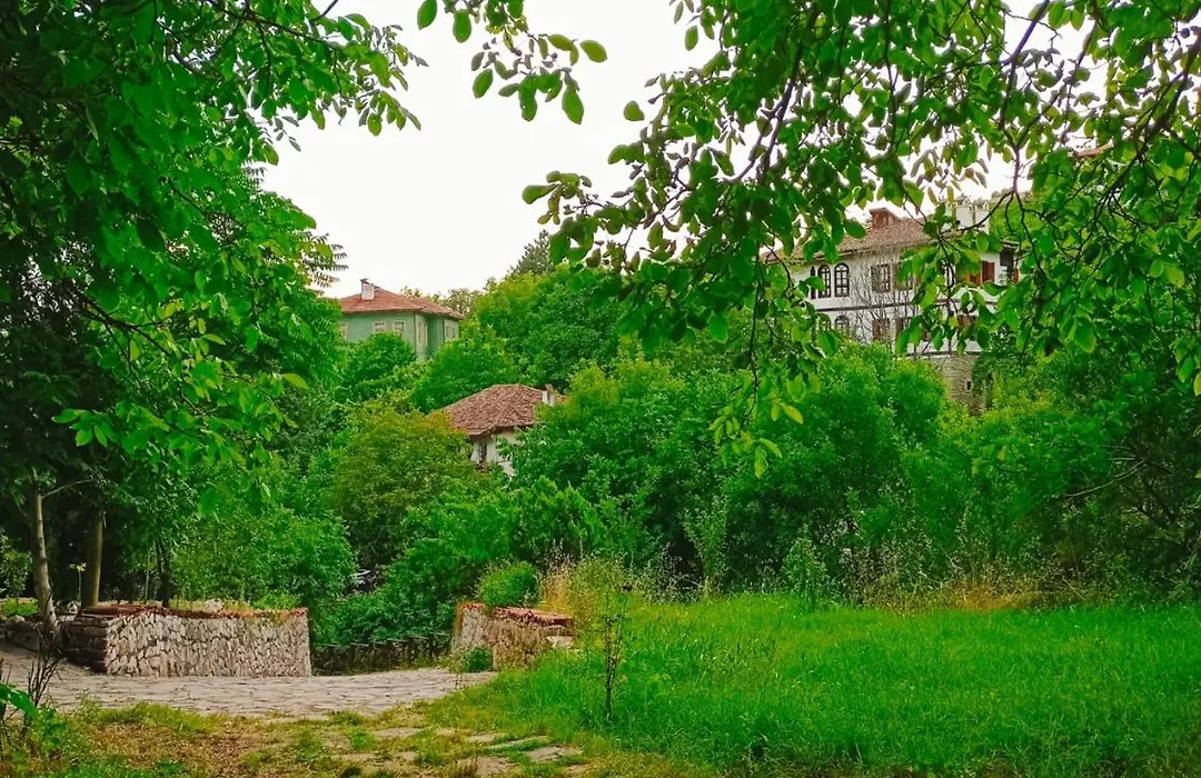 Asya Konak-1
