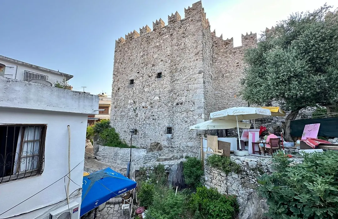 Mustafa Tokalac Castle House-1
