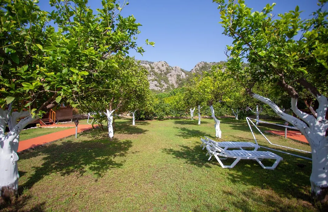 Baris Pension & Bungalows-1