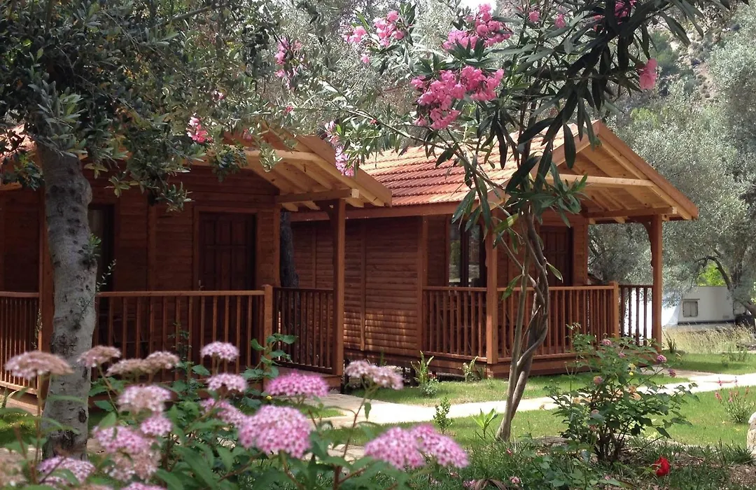 Kidrak Otel Montenegro-1-1