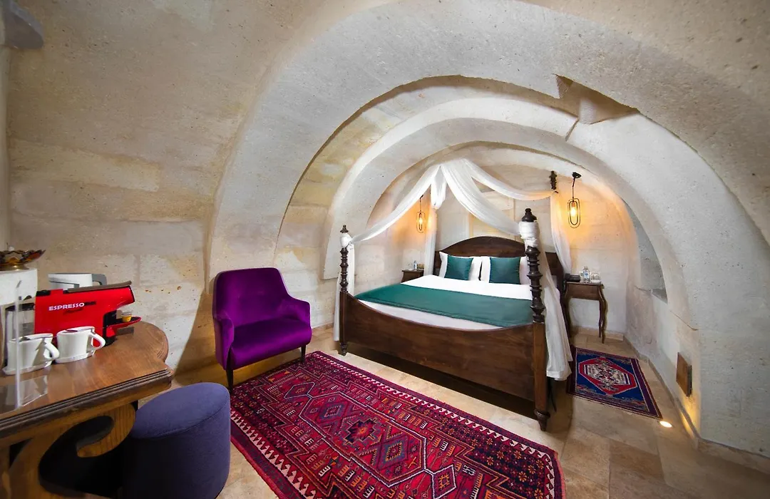 Vigor Cappadocia - Special Class-1