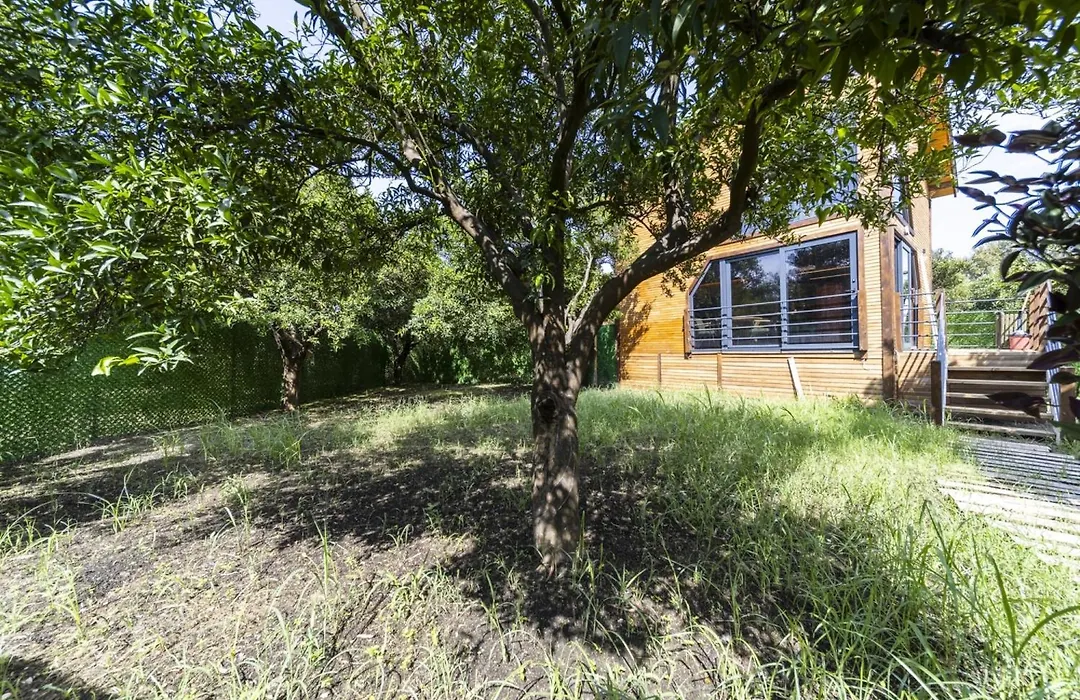 Peaceful Bungalow In Nature W Garden In Antalya-1