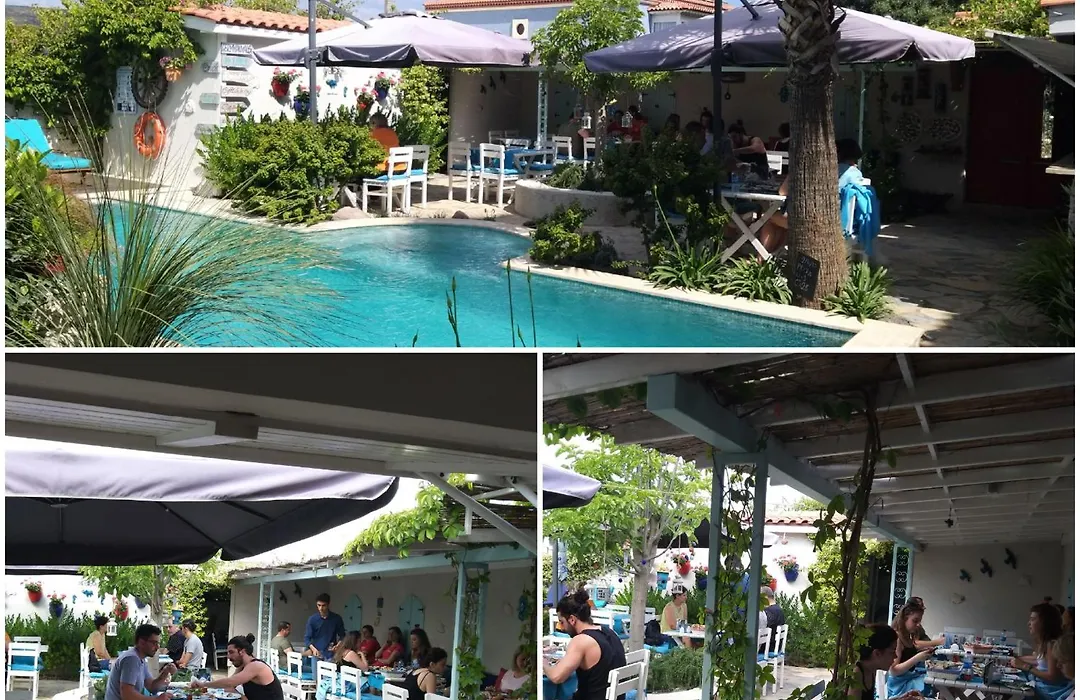 Cassiopeia Otel-1