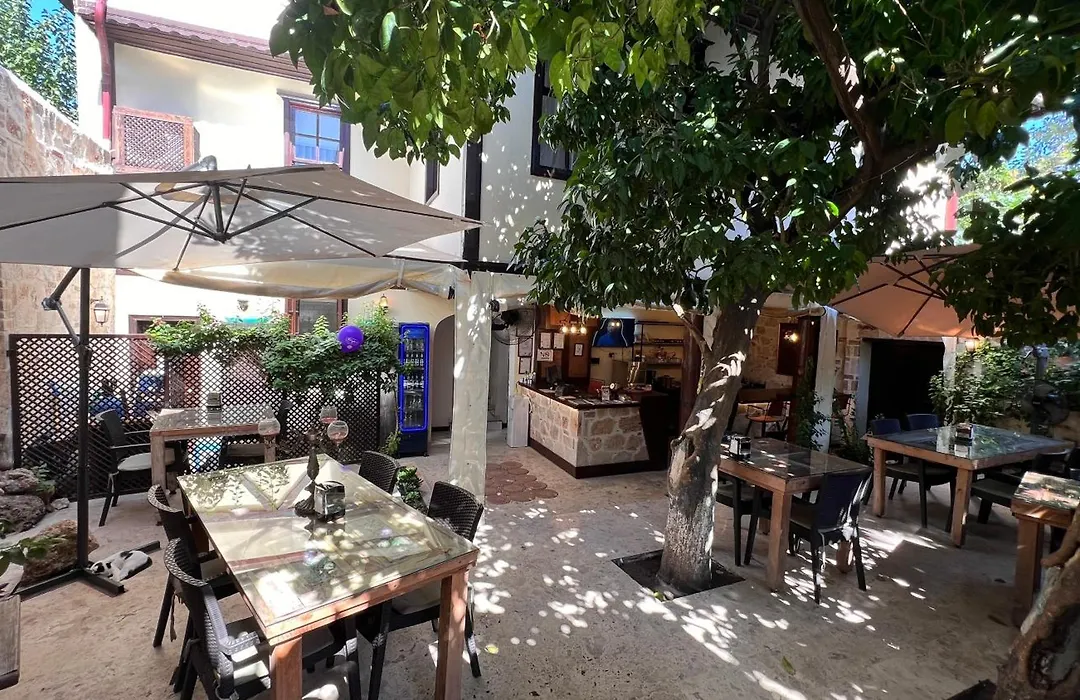 Villa Citronella Boutique Hotel-1
