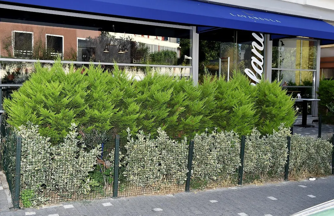 Levent Lavandula Hotel-1