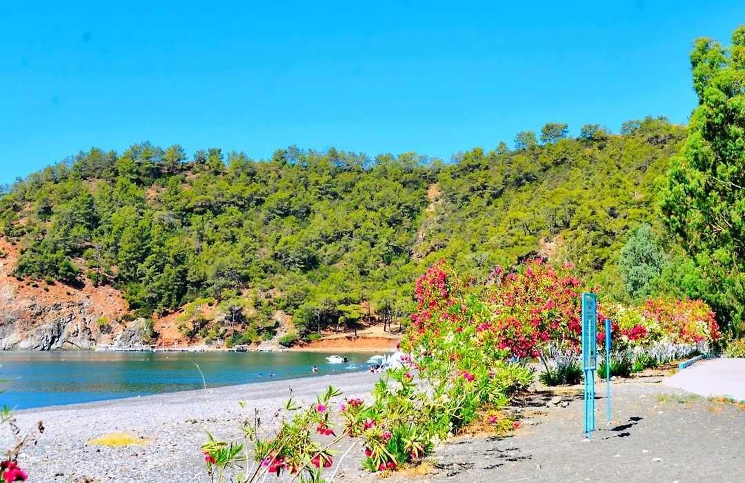Santana Gocek-1
