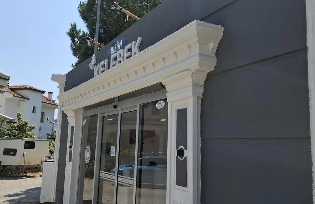 Bizim Kelebek-1