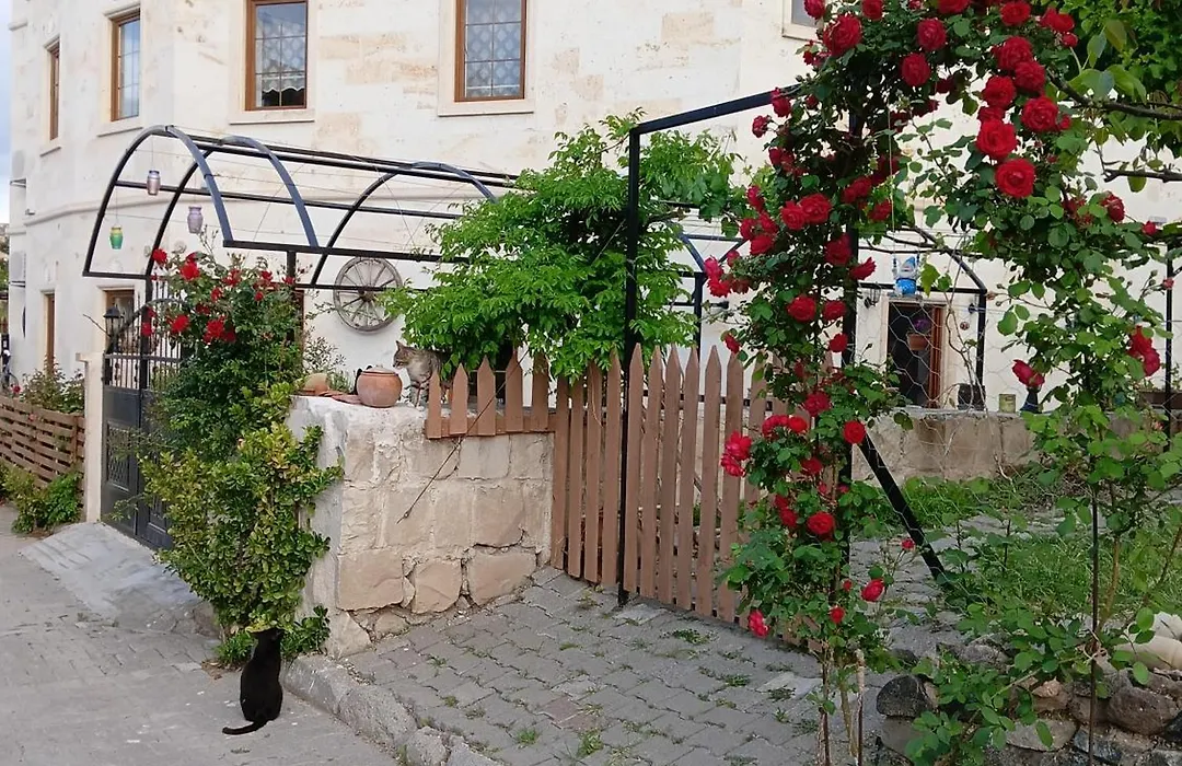 Esens Stone House-1