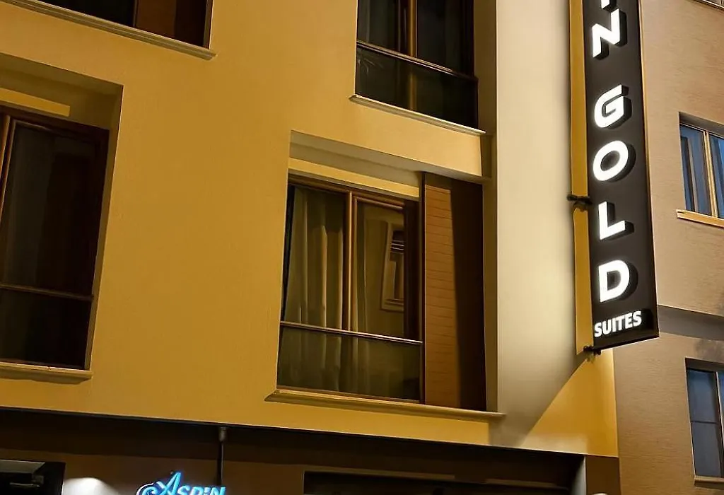 Asrın GOLD-1