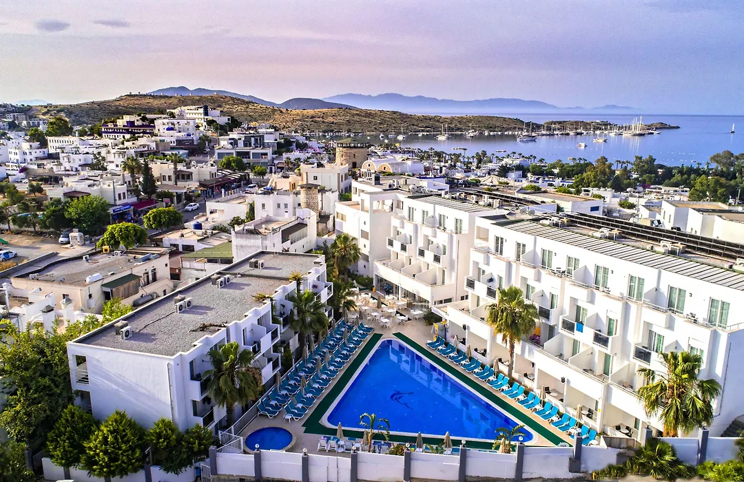 Club Shark Hotel-1