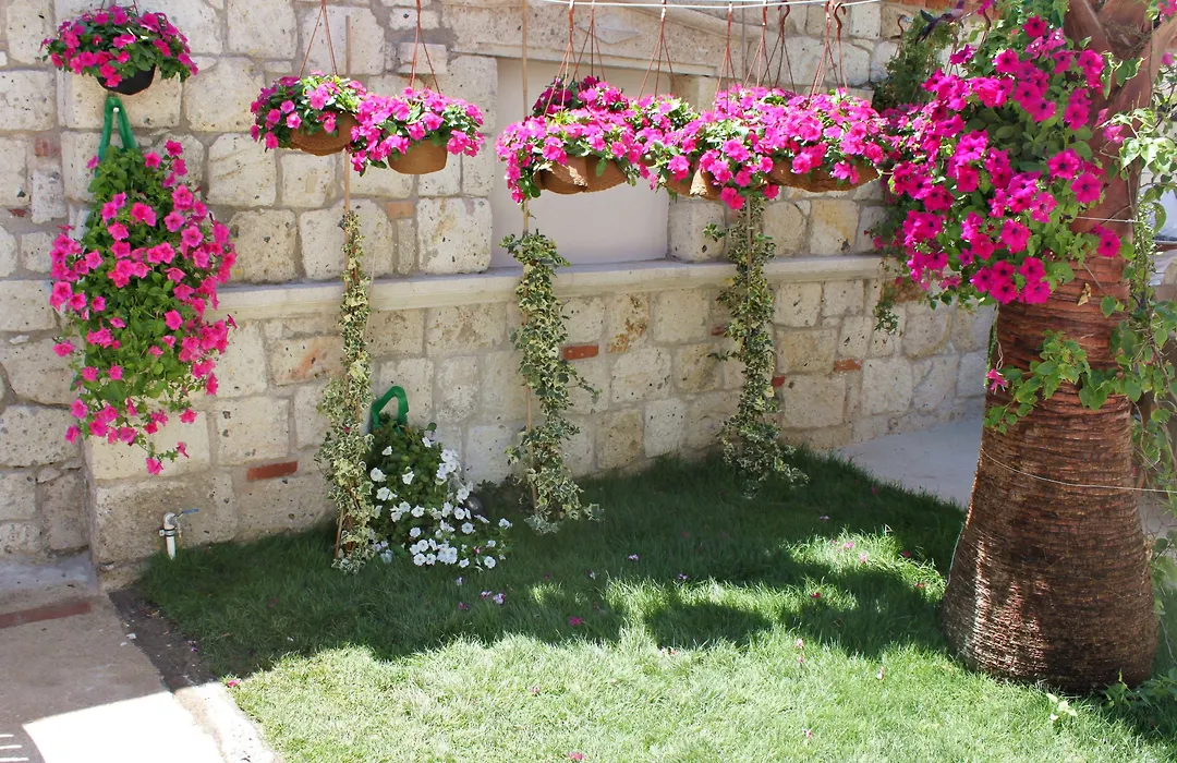 Erendira Hotel - Special Category-1