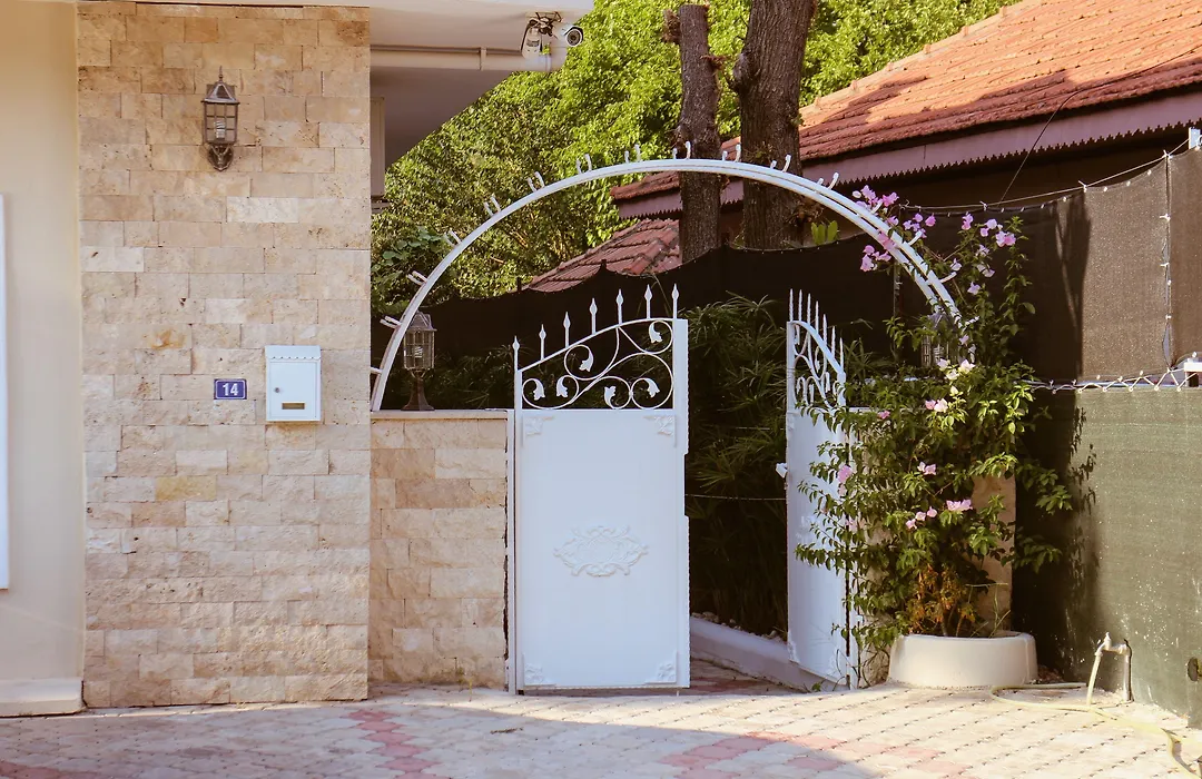Arp Dalyan-1
