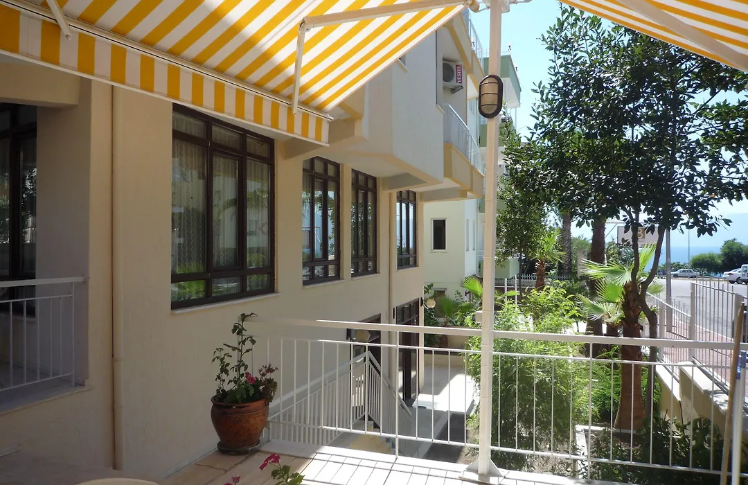 Pinus Otel-1