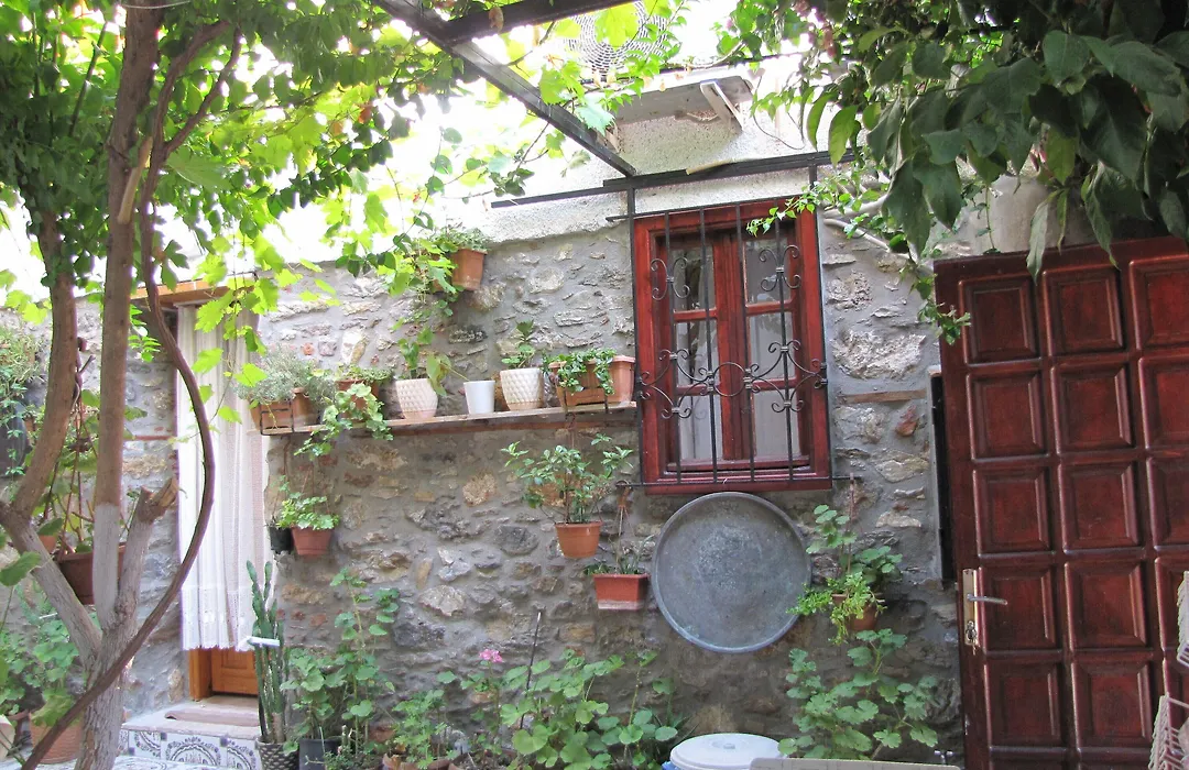 Ali Baba'S House-1