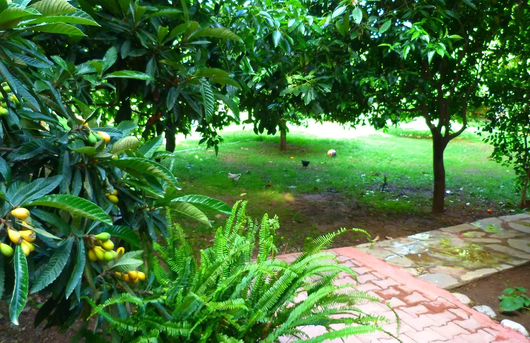 Simge Pension-1