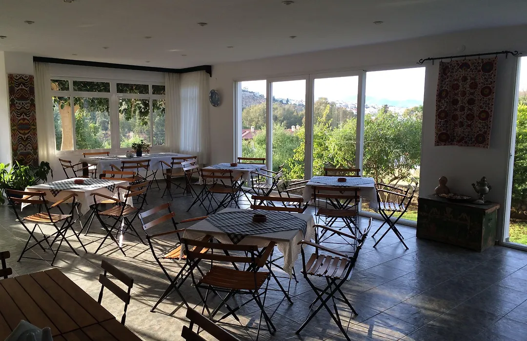 Hotel Villa Tokur-1