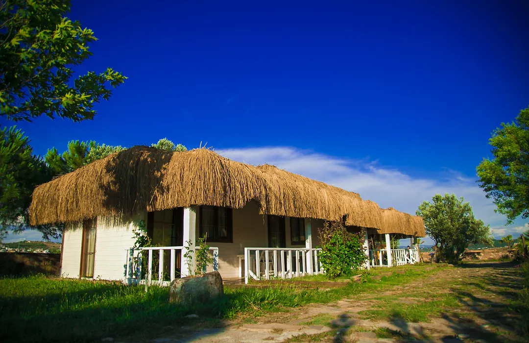Cunda Fora Glamping-1