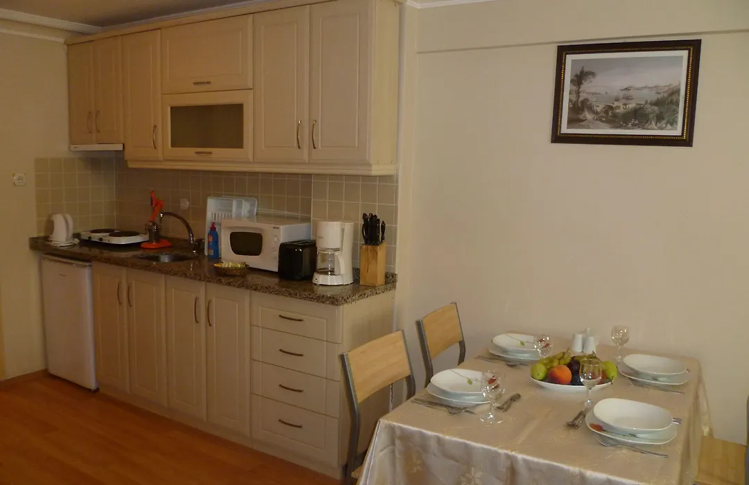 Pine Stone Apart Hotel Sultanahmet-1