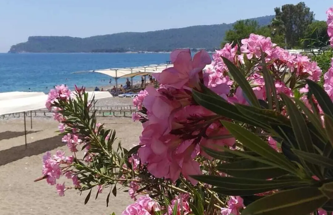 Ugur Beach Hotel-1