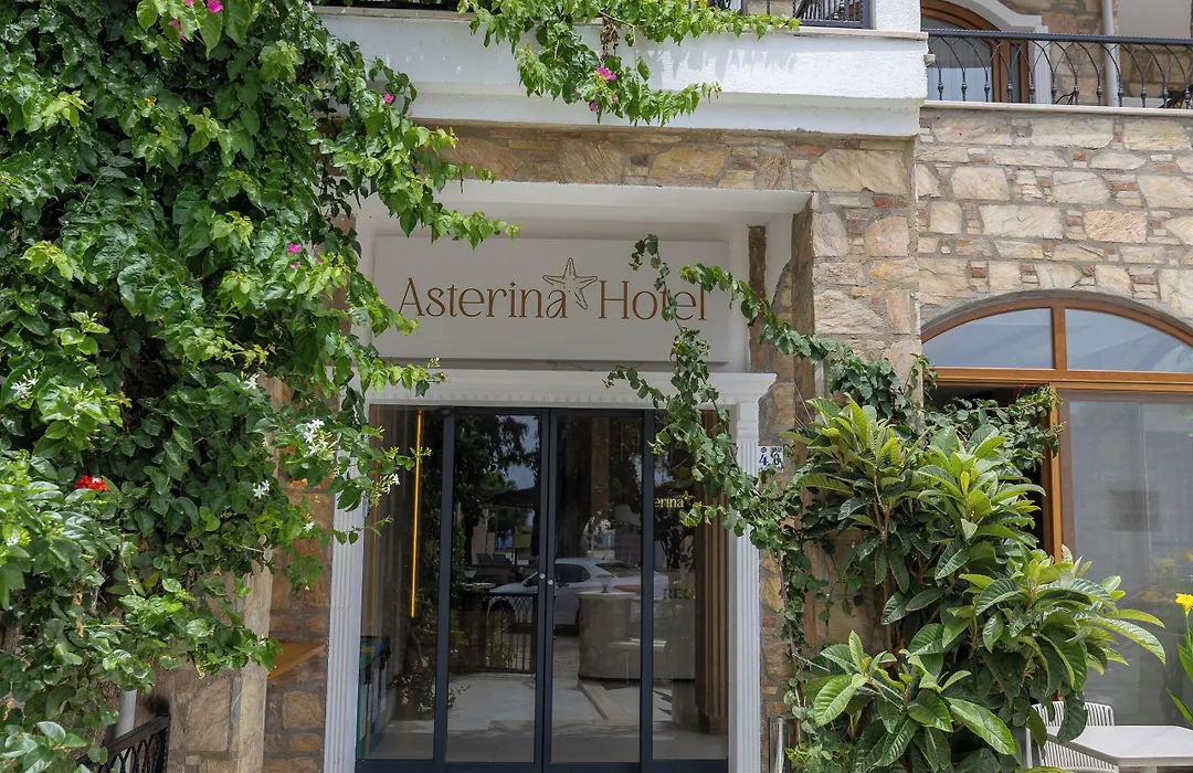 Asterina Hotel-1