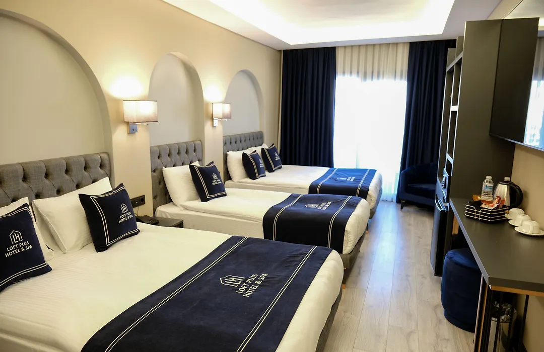 Plus Hotel & Private Transportation Istanbul Airport-By Loft-1