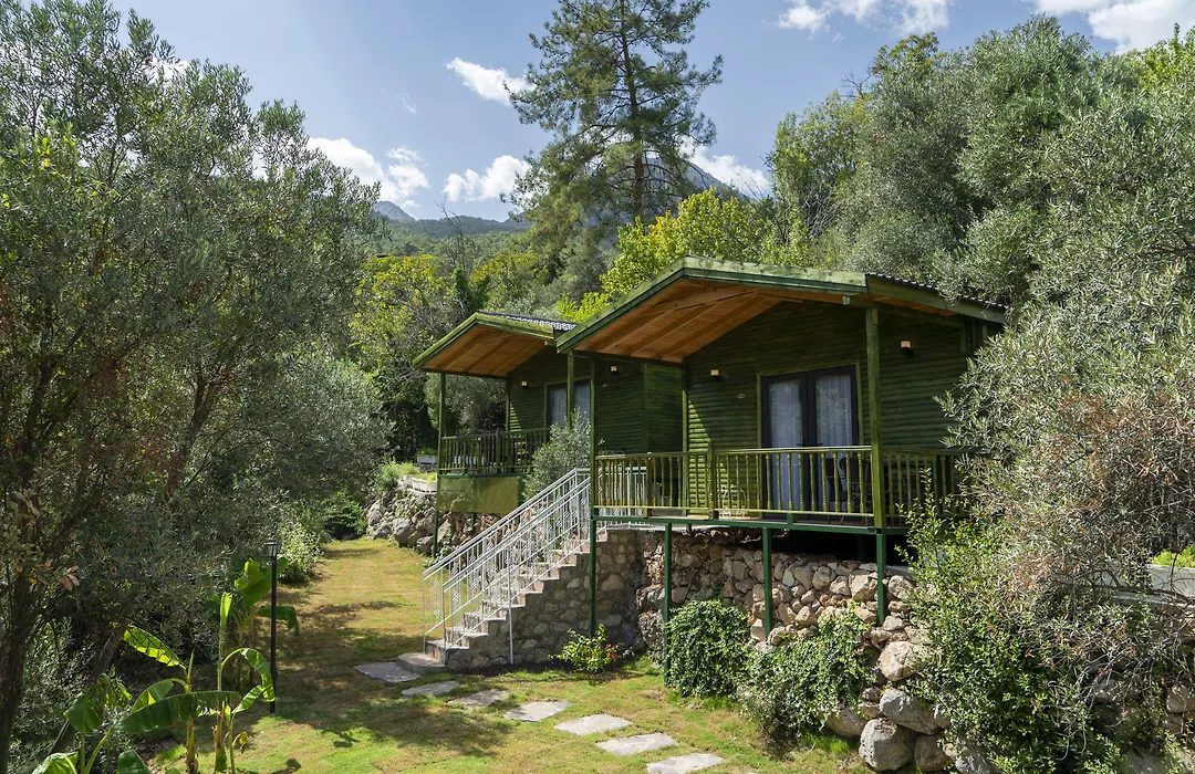 Apa Mountain Lodge-1