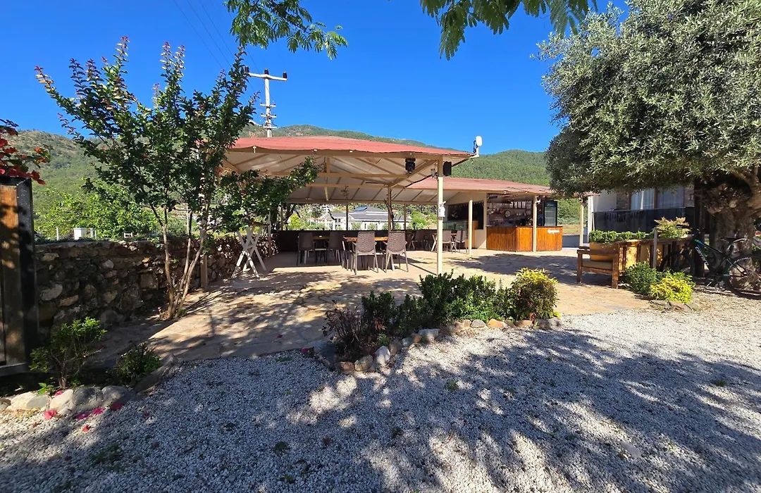 Olive Tree Apart Hotel-1