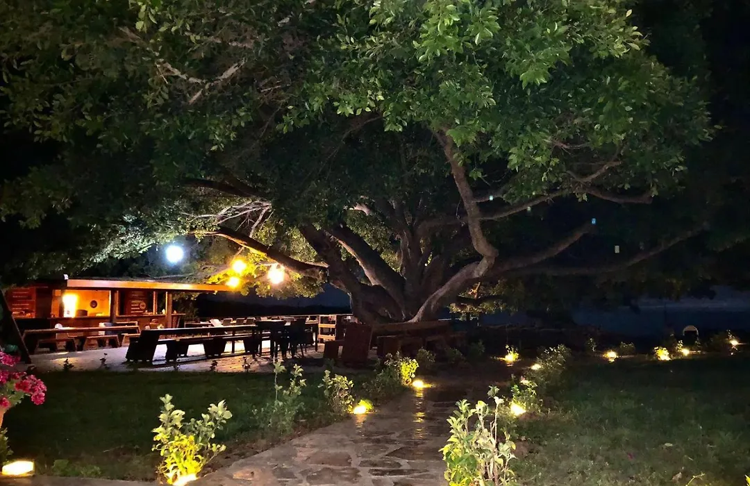 Marvel Tree Hotel-1