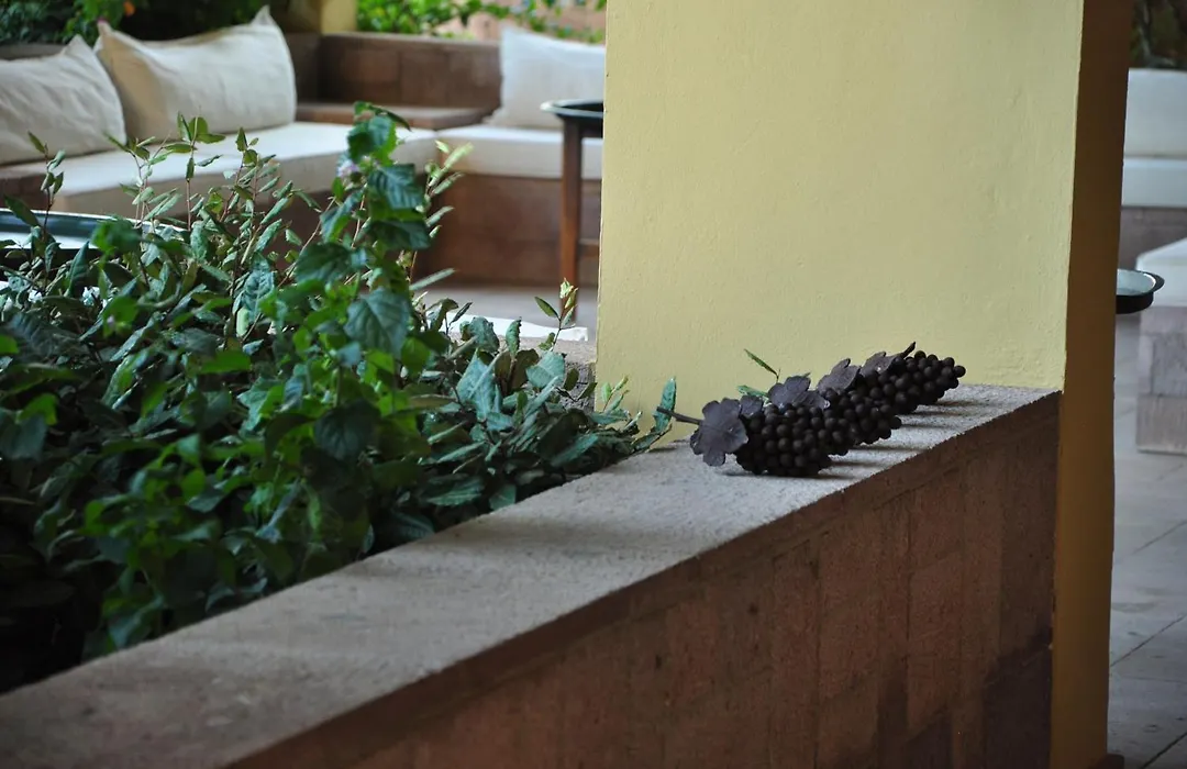 Palm Court Suites-1