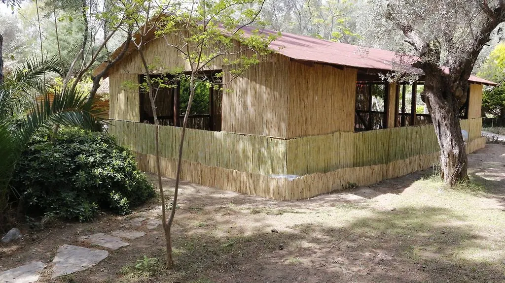 Kizilbuk Ahsap Evleri-1
