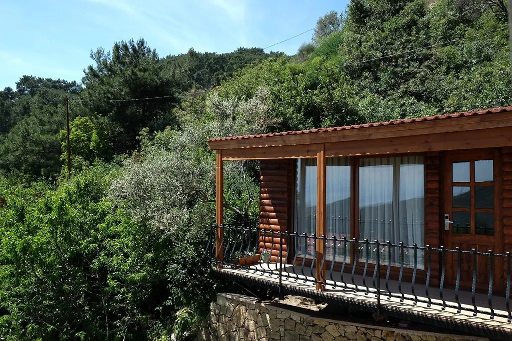 Reis Inn Hotel Kazdaglari-1