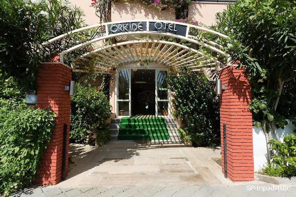 Orkide Hotel-1