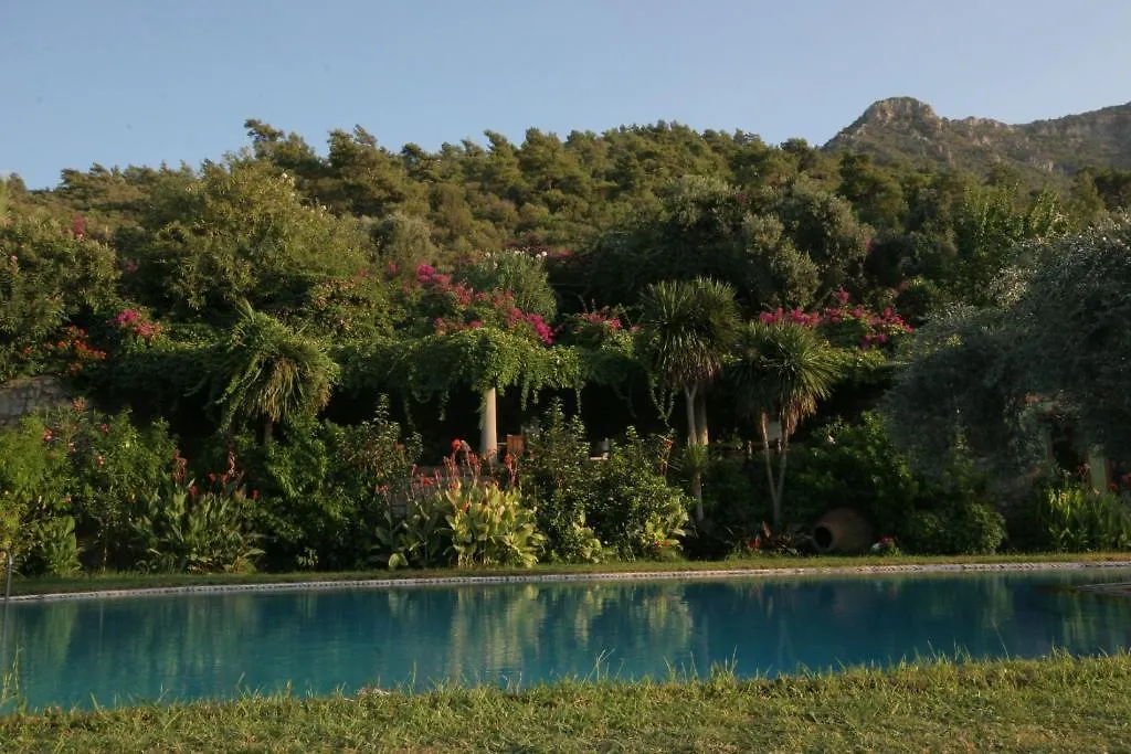 Antik Zeytin Hotel & Art-1